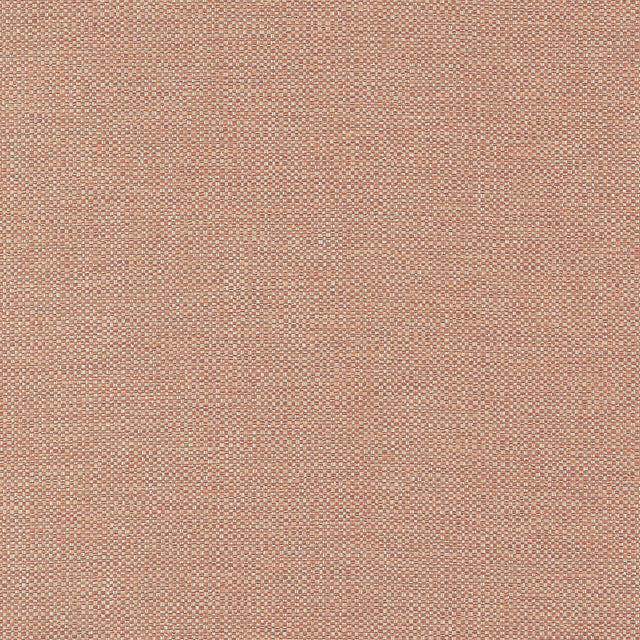 Thibaut Kaden Cider Fabric
