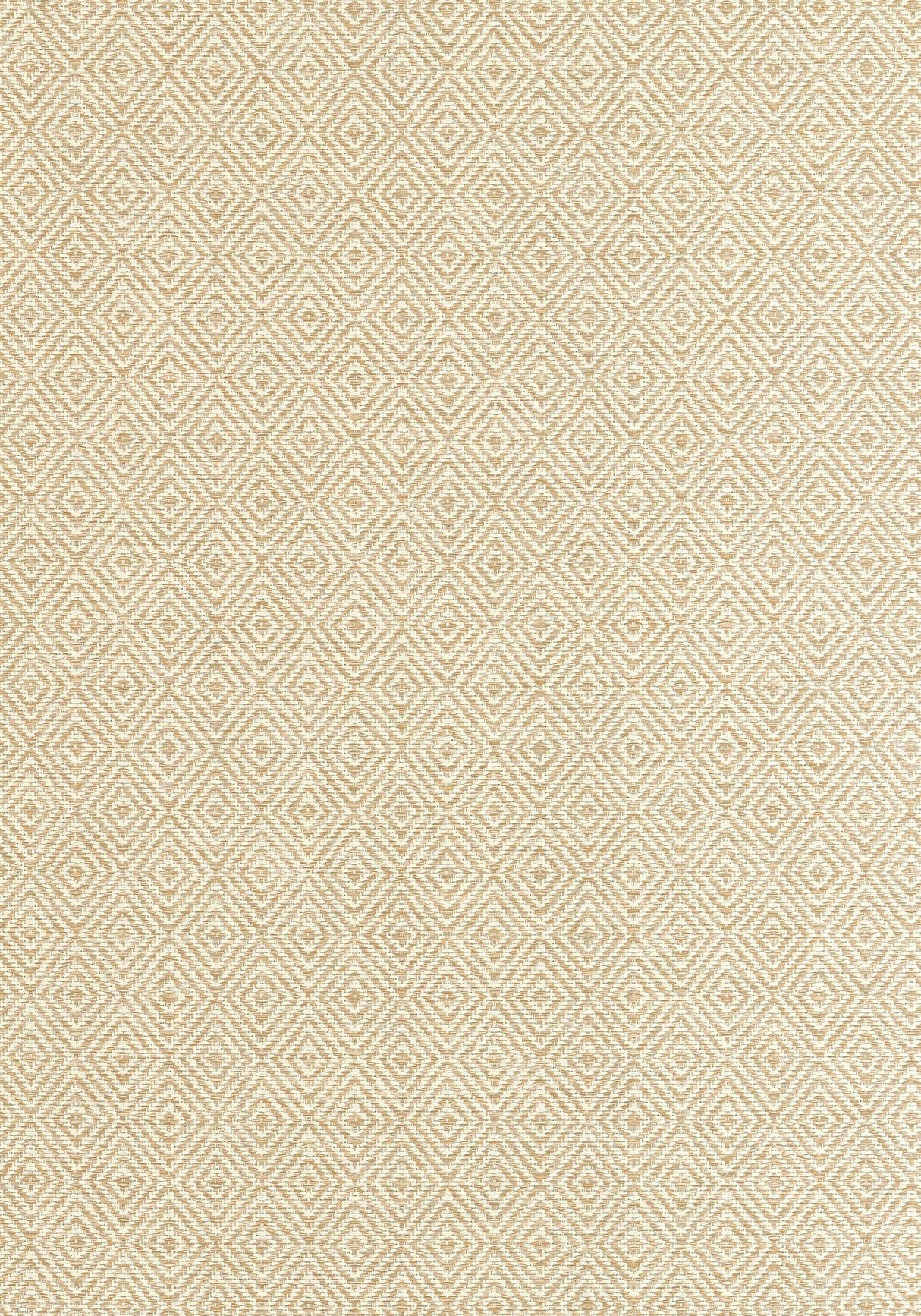 Thibaut Theo Straw Fabric