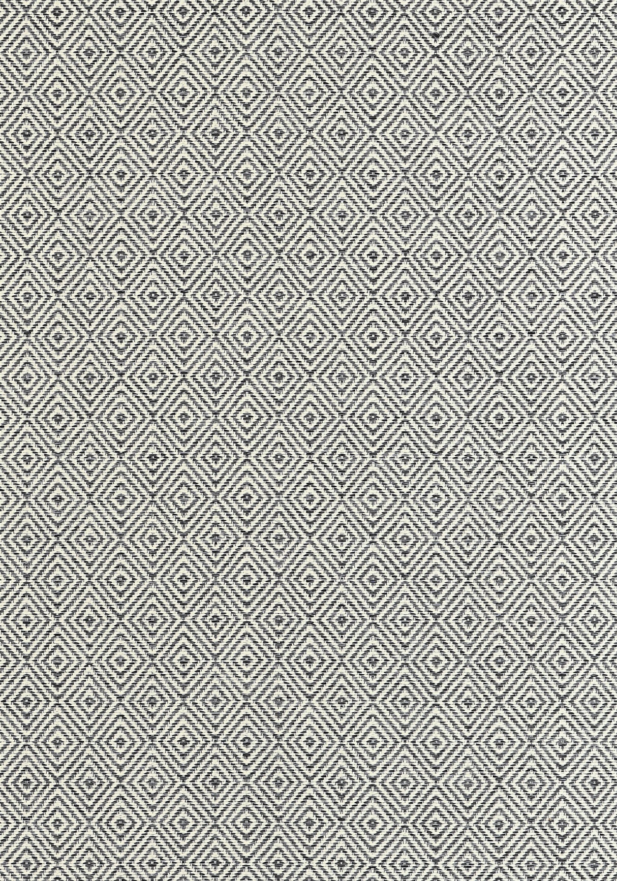 Thibaut Theo Ebony Fabric