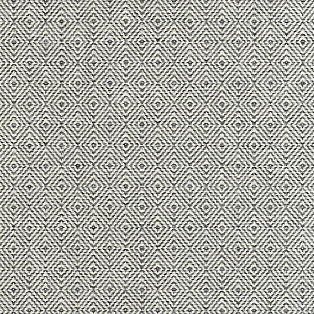 Thibaut Theo Ebony Fabric