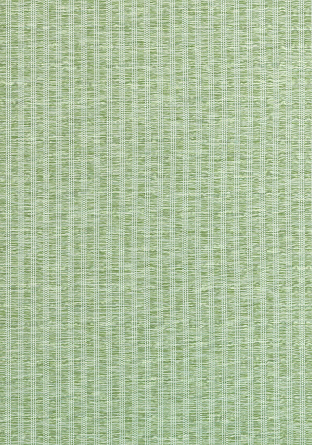 Thibaut Salem Stripe Mojito Fabric