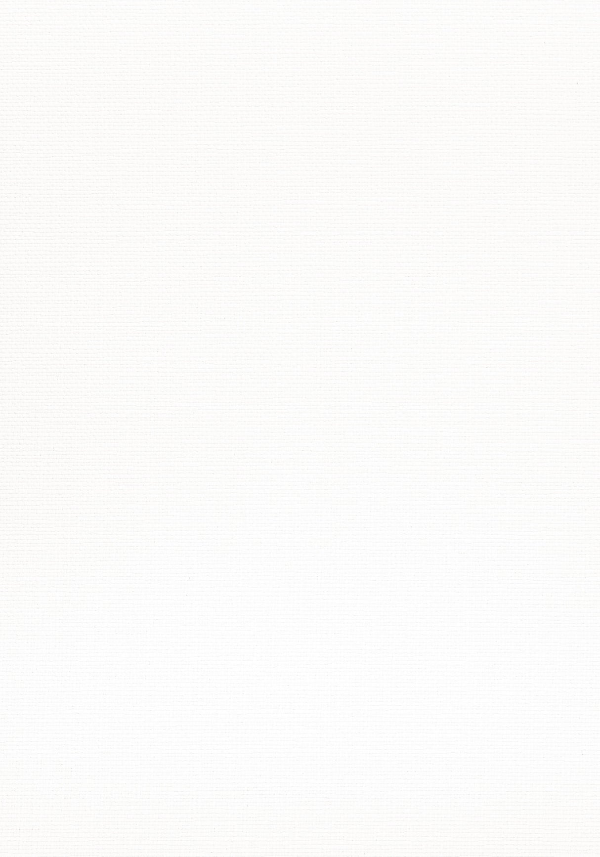 Thibaut Velani White Fabric