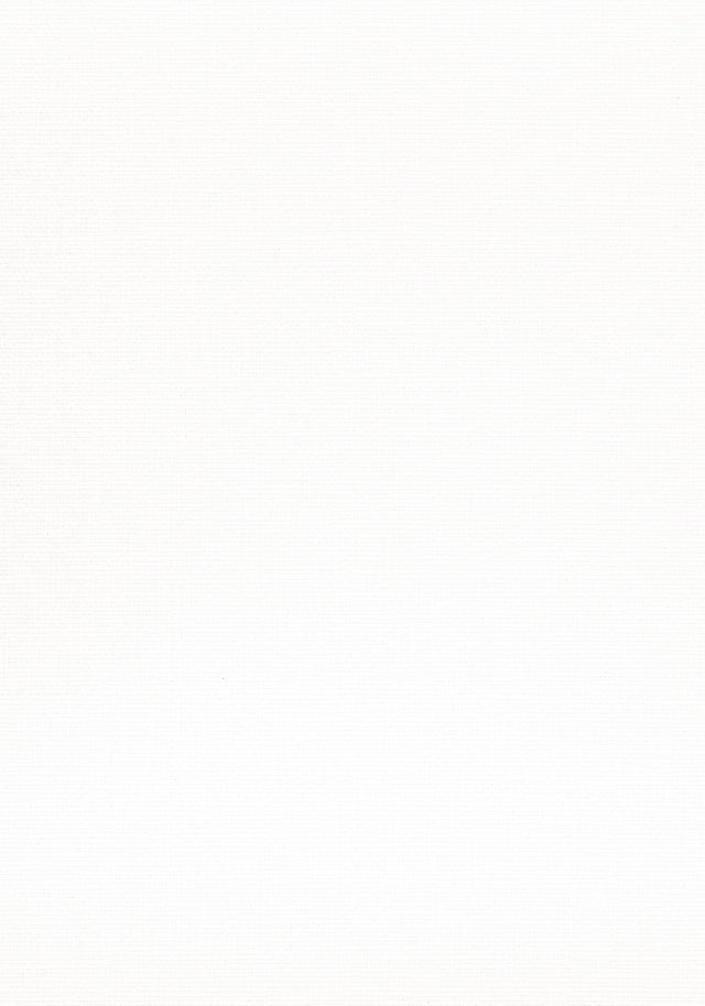 Thibaut Velani White Fabric