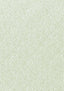 Thibaut Samara Mojito Fabric