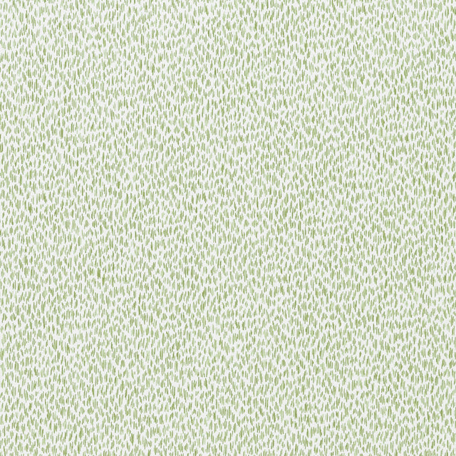 Thibaut Samara Mojito Fabric