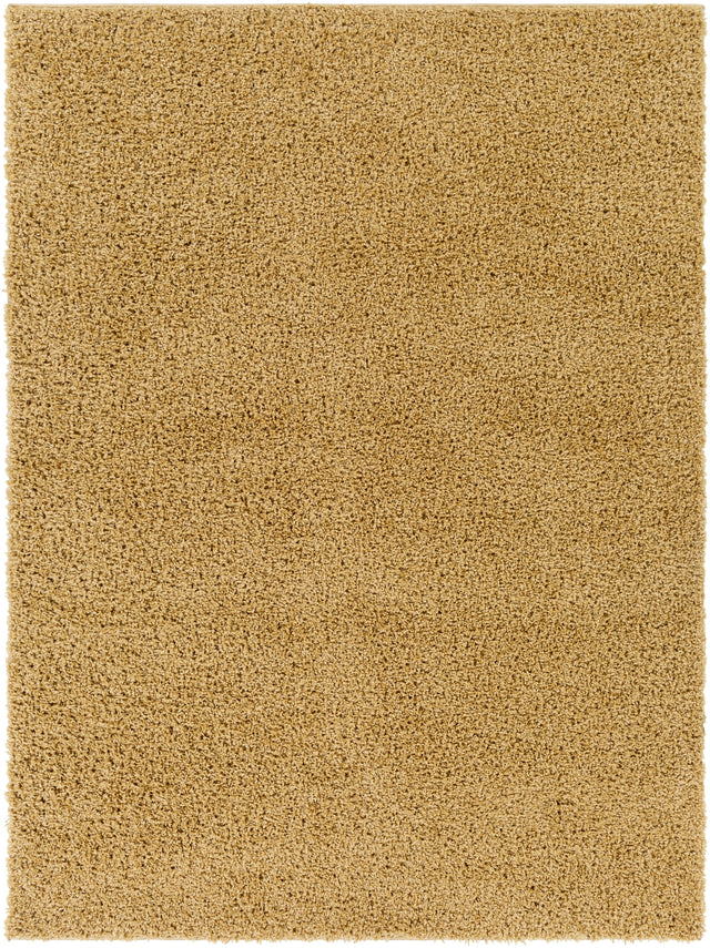 Surya Bliss Shag BLI-2304 2' x 3' Rug