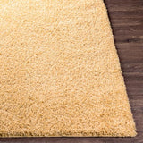 Surya Bliss Shag BLI-2304 2' x 3' Rug