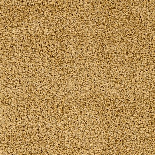 Surya Bliss Shag BLI-2304 2' x 3' Rug