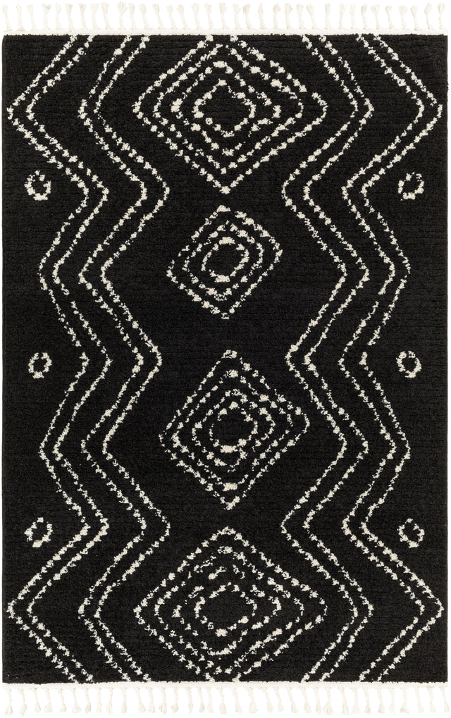 Surya Casablanca Shag CAG-2315 5'3" x 7' Rug