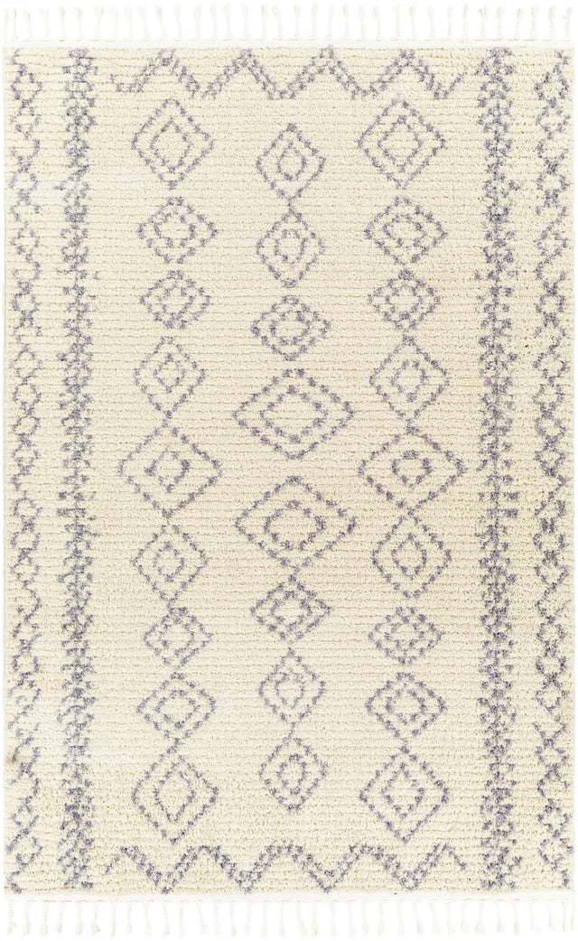 Surya Casablanca Shag CAG-2316 9'2" x 12' Rug