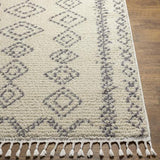 Surya Casablanca Shag CAG-2316 9'2" x 12' Rug