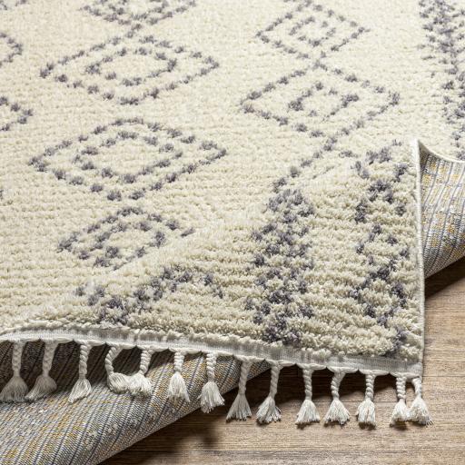 Surya Casablanca Shag CAG-2316 9'2" x 12' Rug