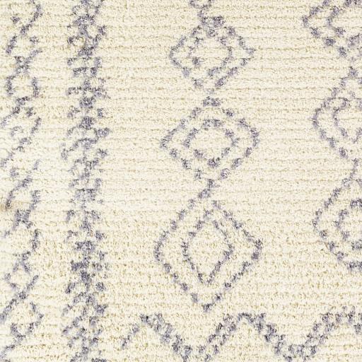 Surya Casablanca Shag CAG-2316 9'2" x 12' Rug