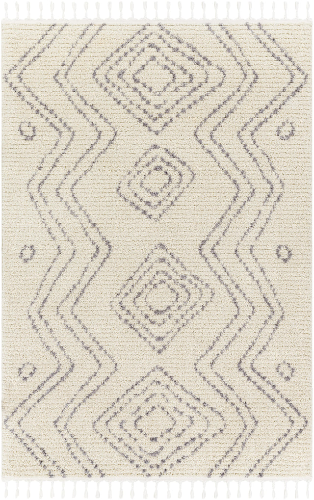 Surya Casablanca Shag CAG-2317 9'2" x 12' Rug