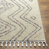 Surya Casablanca Shag CAG-2317 9'2" x 12' Rug