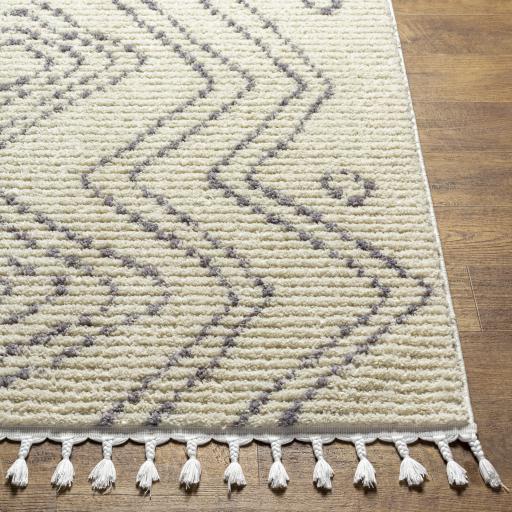 Surya Casablanca Shag CAG-2317 9'2" x 12' Rug