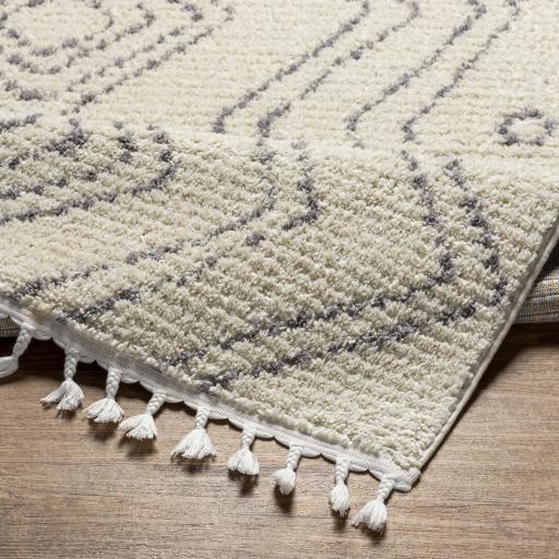 Surya Casablanca Shag CAG-2317 9'2" x 12' Rug