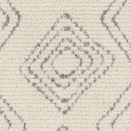 Surya Casablanca Shag CAG-2317 9'2" x 12' Rug