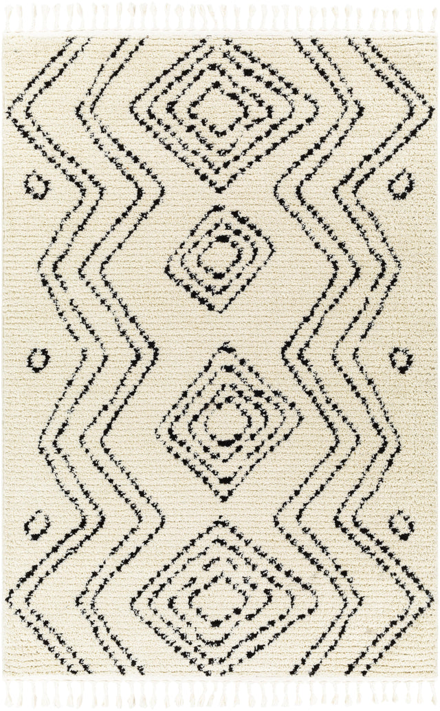 Surya Casablanca Shag CAG-2318 9'2" x 12' Rug