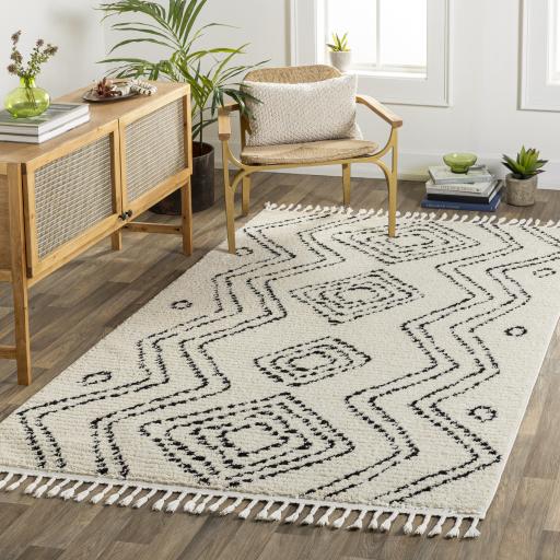 Surya Casablanca Shag CAG-2318 9'2" x 12' Rug