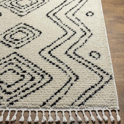 Surya Casablanca Shag CAG-2318 9'2" x 12' Rug