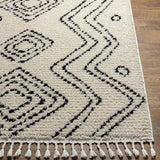 Surya Casablanca Shag CAG-2318 9'2" x 12' Rug