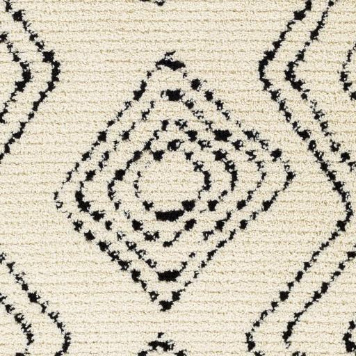Surya Casablanca Shag CAG-2318 9'2" x 12' Rug