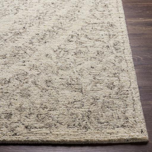 Surya Evolution EVL-2300 2' x 3' Rug
