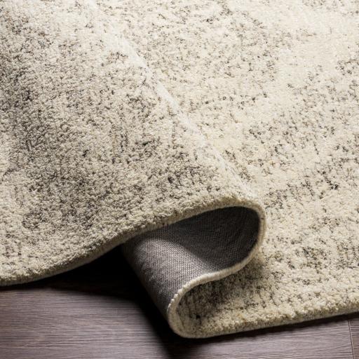 Surya Evolution EVL-2300 2' x 3' Rug