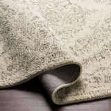 Surya Evolution EVL-2300 2' x 3' Rug