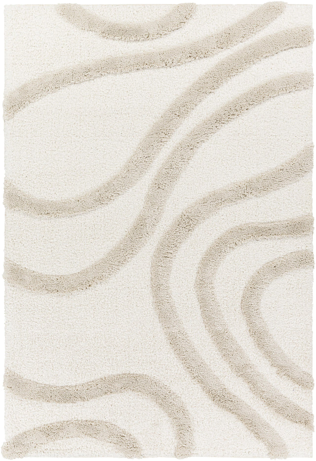 Surya Hudson Shag HDS-2310 9'2" x 12' Rug