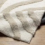 Surya Hudson Shag HDS-2310 9'2" x 12' Rug