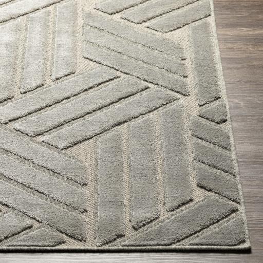 Surya Kingston KGS-2303 2' x 3' Rug