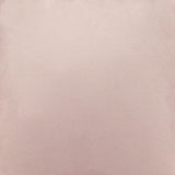 ZUO Piccolo Dining Chair (Set of 2) Pink