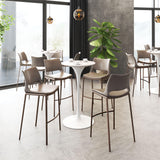 ZUO Ace Barstool (Set of 2) Brown & Walnut