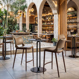 ZUO Ace Counter Stool (Set of 2) Brown & Walnut