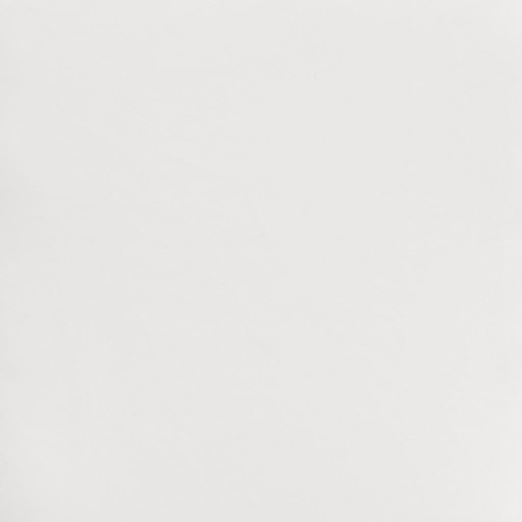 ZUO Miguel Dining Chair (Set of 2) White