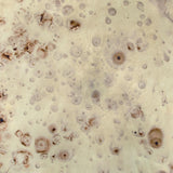 ZUO Pam Side Table Antique Beige