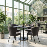 ZUO Aimee Dining Chair (Set of 2) Gray