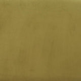 ZUO Biak Middle Chair Green