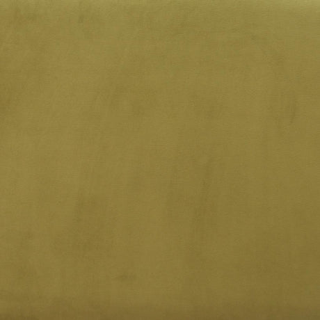 ZUO Biak Middle Chair Green