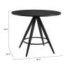 ZUO Dinos Dining Table Black