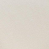 ZUO Essen Dining Chair Ivory