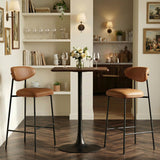 ZUO Rorun Barstool (Set of 2) Brown