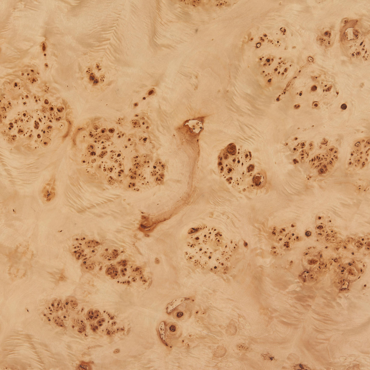 ZUO Burl 2 in 1 Table Natural