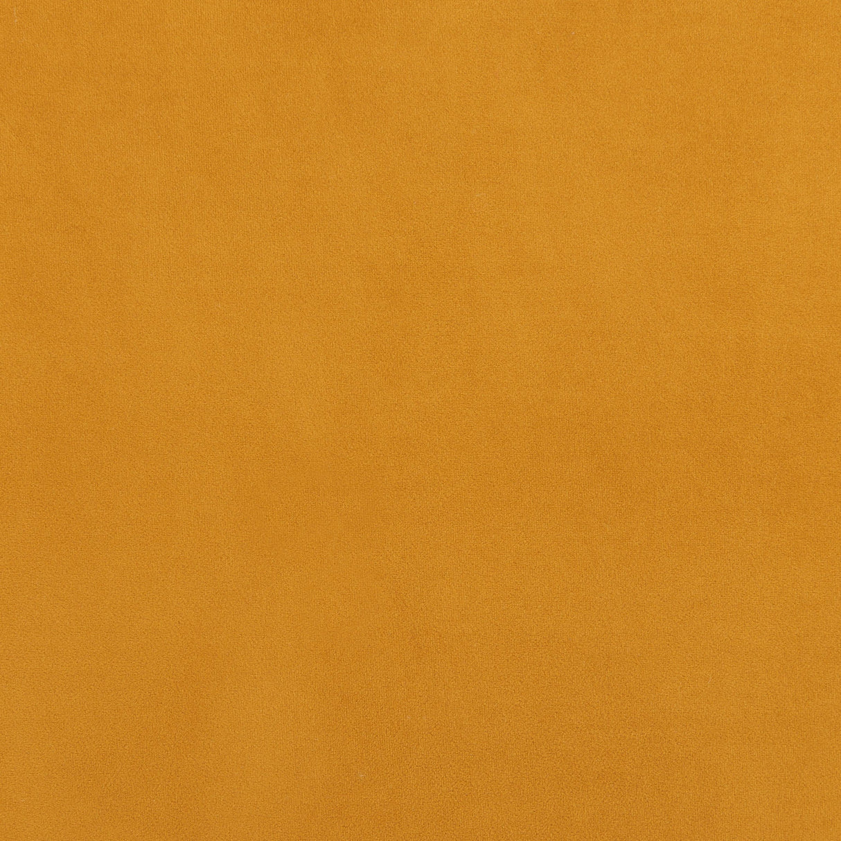 ZUO Meia Accent Chair Mustard