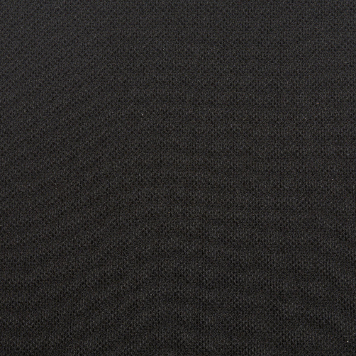 ZUO Hasso Office Chair Black