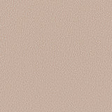 ZUO Saku Swivel Dining Chair Beige & Brown