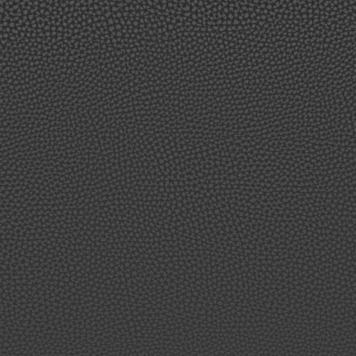 ZUO Desi Armless Dining Chair (Set of 2) Black