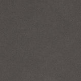 ZUO Coral Reef Loveseat Gray